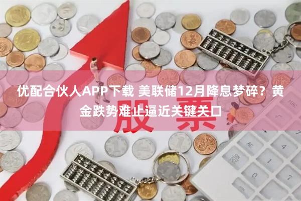 优配合伙人APP下载 美联储12月降息梦碎？黄金跌势难止逼近关键关口