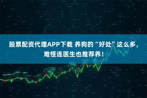 股票配资代理APP下载 养狗的“好处”这么多，难怪连医生也推荐养！