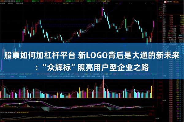 股票如何加杠杆平台 新LOGO背后是大通的新未来: “众辉标”照亮用户型企业之路