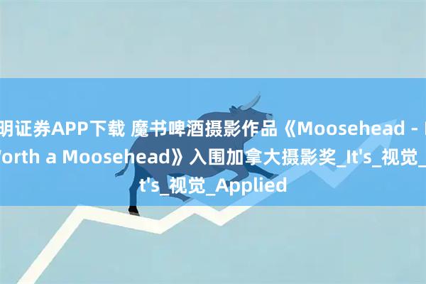 富明证券APP下载 魔书啤酒摄影作品《Moosehead - It's Worth a Moosehead》入围加拿大摄影奖_It's_视觉_Applied