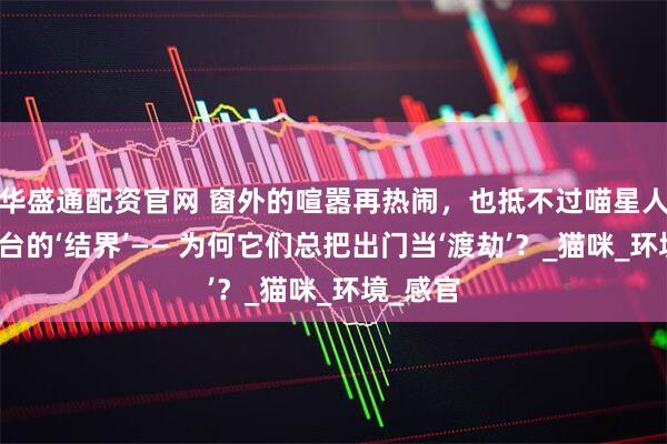 华盛通配资官网 窗外的喧嚣再热闹，也抵不过喵星人蜷在窗台的‘结界’—— 为何它们总把出门当‘渡劫’？_猫咪_环境_感官